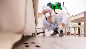 Best Pest Control for Restaurants and Food Service  in Lake Lorraine, FL